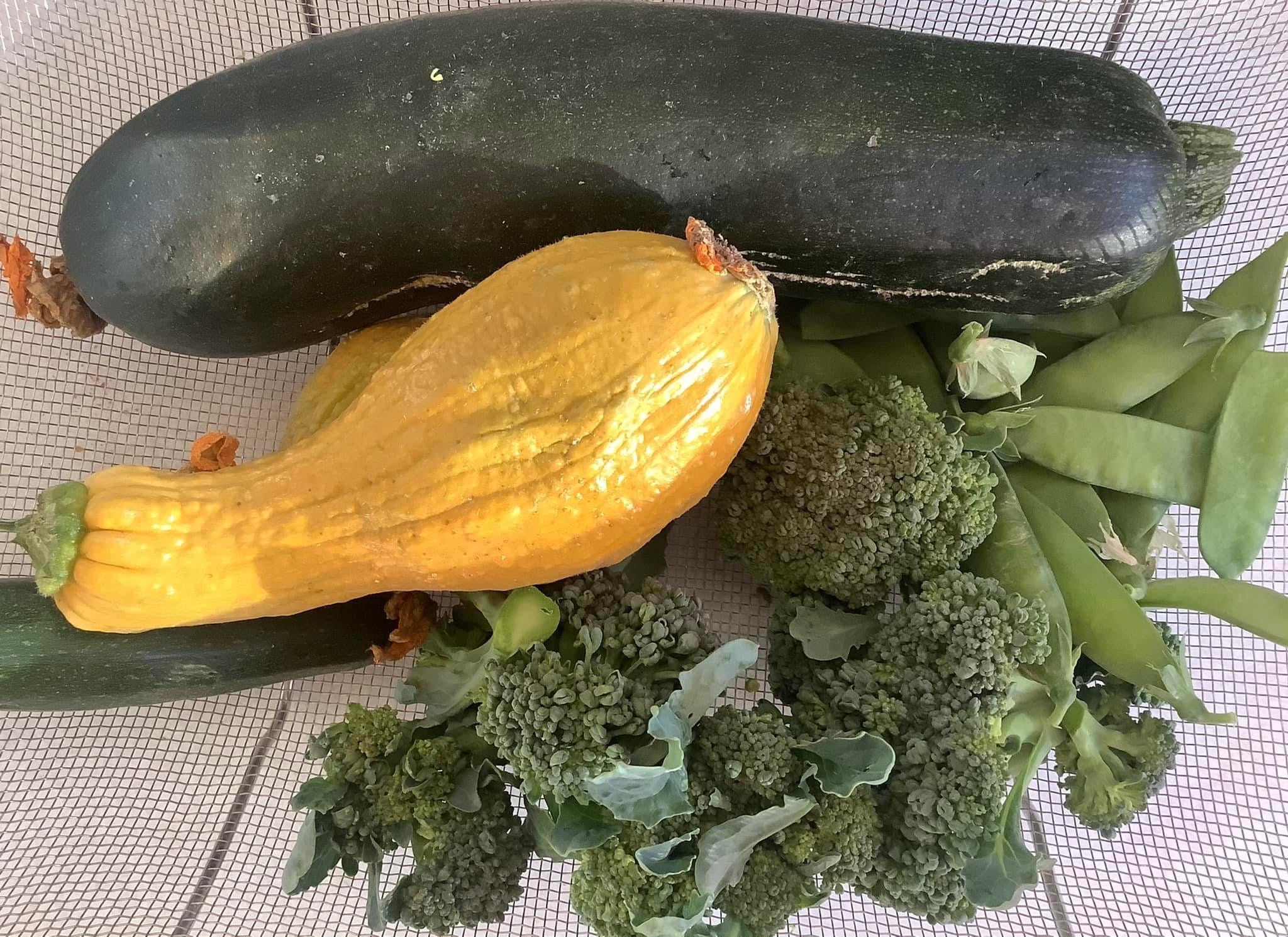 How I Saved Over $2k On Groceries by Building a Sustainable Kitchen