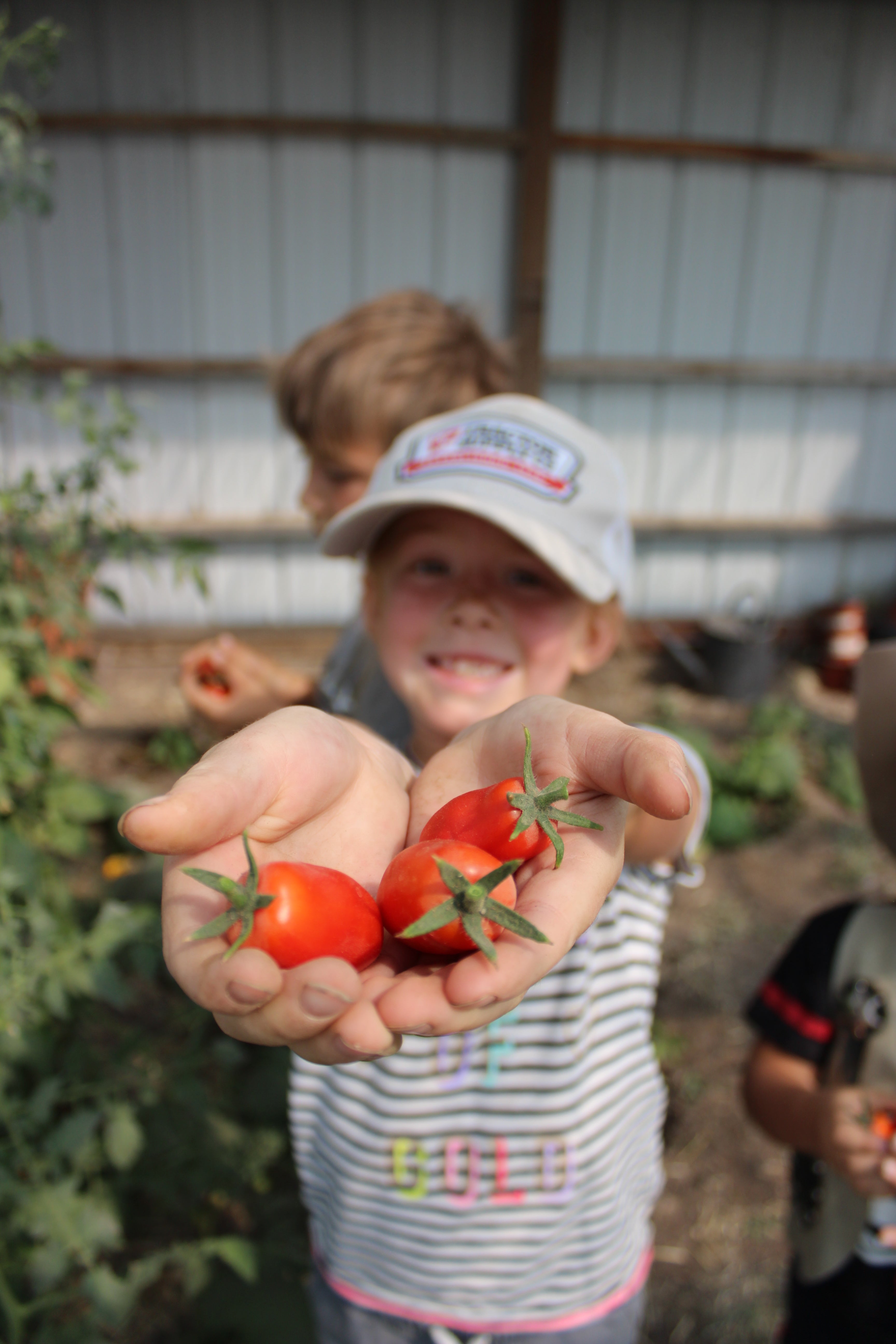 I'm Not a Homesteader...but I Homestead