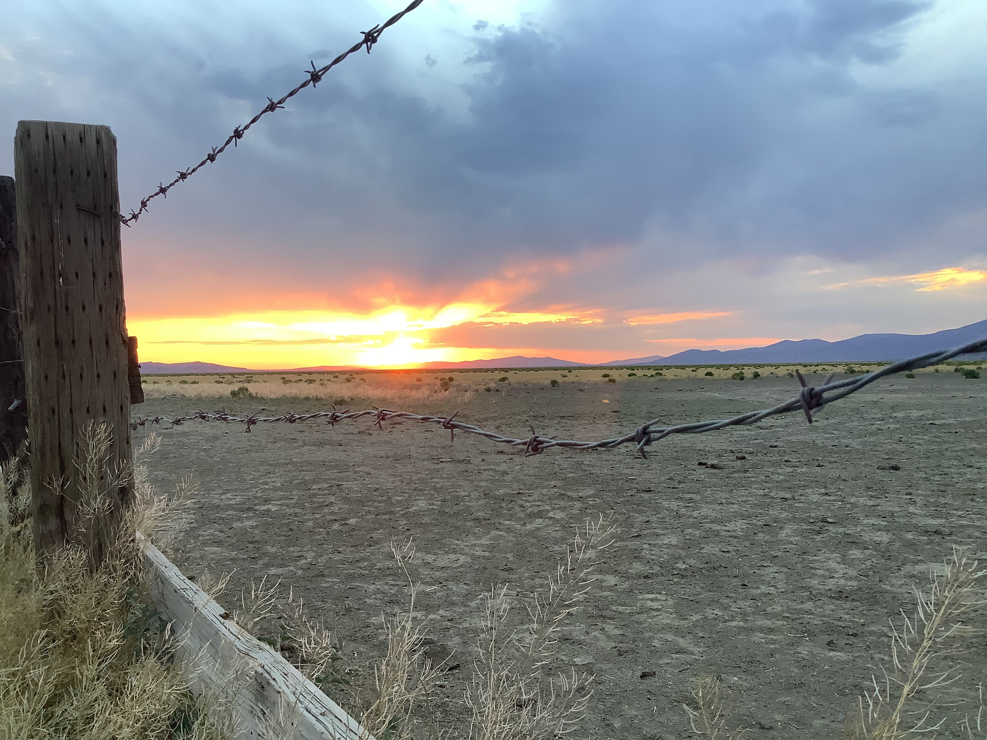 "I can totally relate!" - When You Don't Fit Into the Homesteading Box